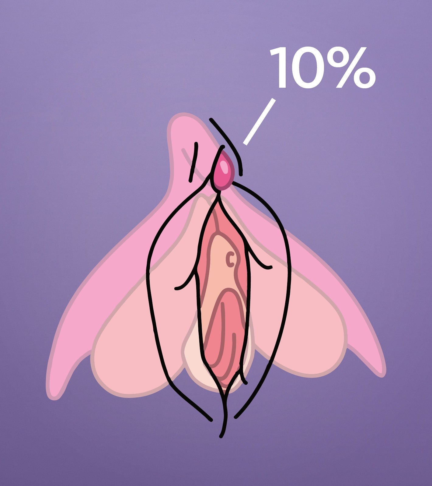 Abbildung der Klitoris